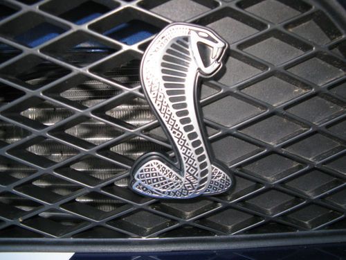 2009 Ford Shelby GT500 w/ White Painted stripes!, image 8