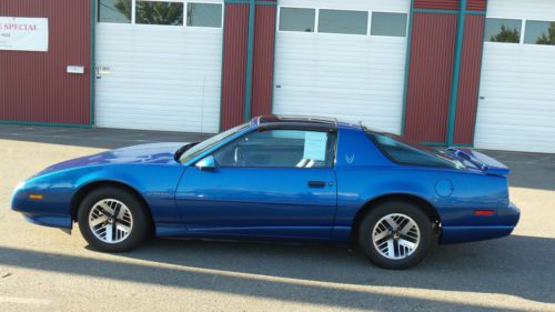 1991 pontiac firebird t-tops *no reserve!* very low miles! original condition