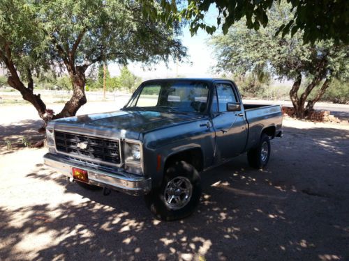 1979 1/2 ton chevy truck