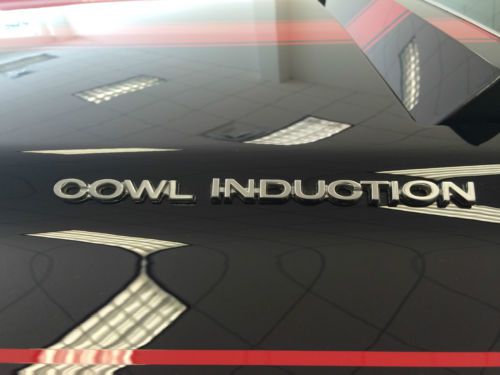 Frame off restoration, matching numbers, CLEAN TITLE, orignal build sheet!, image 23