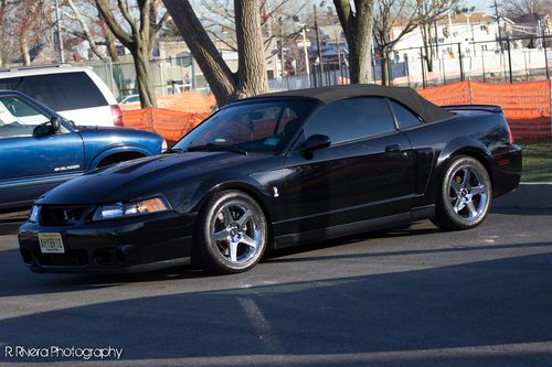 2003 ford mustang cobra svt black convertible