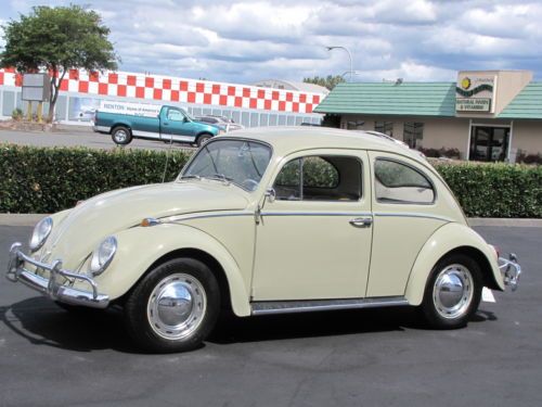 1964 volkswagon beetle