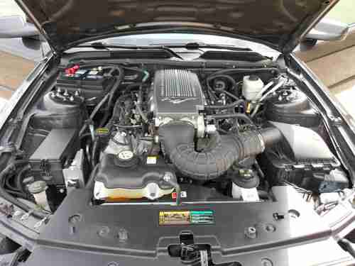 2007 Mustang GT 5  Speed, Excellent condition! Detailer maintained Female Driven, image 20
