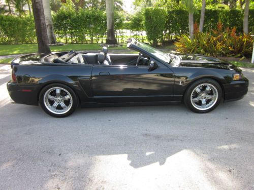 2003 ford mustang cobra svt black convertible