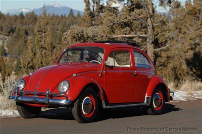 Classic vw beetle ragtop