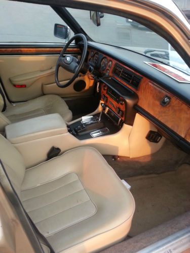 Jaguar, image 2