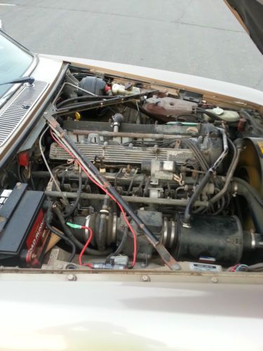 Jaguar, image 4