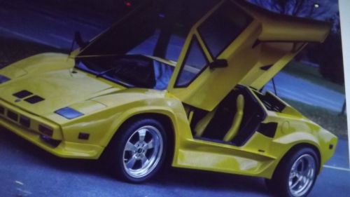 Lamborghini countash used