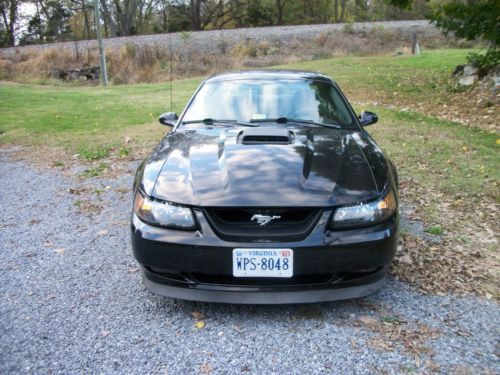 2003 Ford Mustang Mach 1 5 speed Procharger!, image 4
