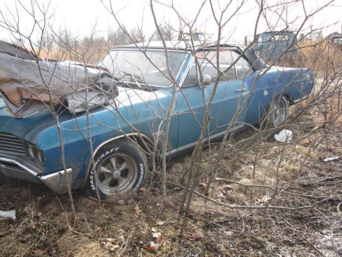 1967 buick skylark convertible project