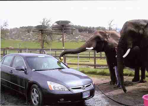 Hybrid, Accord, Honda, Graphite Pearl, Beautiful, Fast, Efficient, Clean, US $13,500.00, image 3