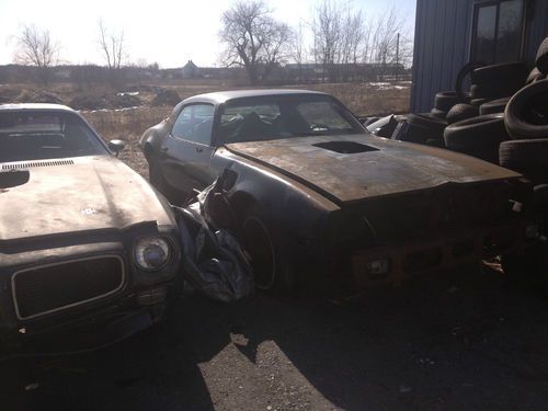 71 trans am 455h.o. &amp; 79 t.a.