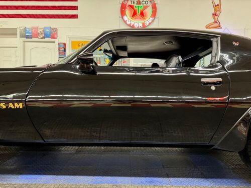 1976 Pontiac Firebird Trans Am Tribute-SEE VIDEO, US $32,900.00, image 14