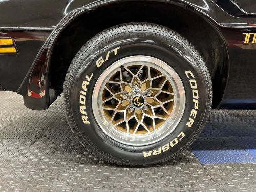 1976 Pontiac Firebird Trans Am Tribute-SEE VIDEO, US $32,900.00, image 18