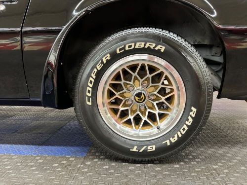 1976 Pontiac Firebird Trans Am Tribute-SEE VIDEO, US $32,900.00, image 19