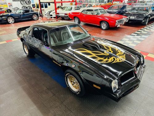 1976 Pontiac Firebird Trans Am Tribute-SEE VIDEO, US $32,900.00, image 27
