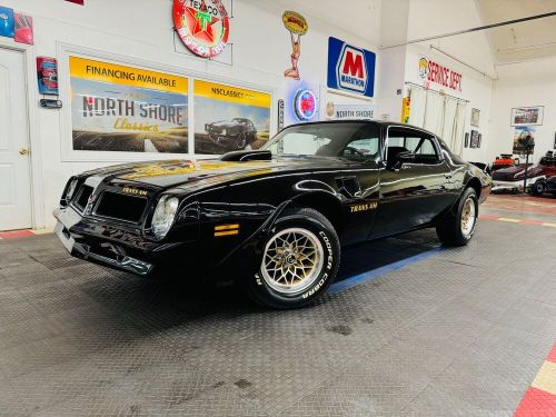 1976 Pontiac Firebird Trans Am Tribute-SEE VIDEO, US $32,900.00, image 36