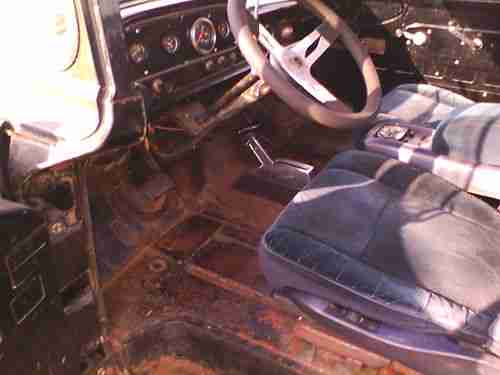 1959 F100 Truck, image 2