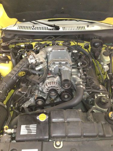 2000 Ford Mustang GT with 65K Original Miles, image 5