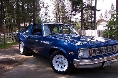 1977 chevrolet nova- the blue goose