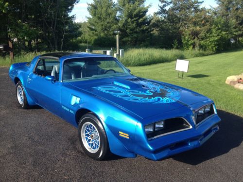 Martinique blue trans am beautiful