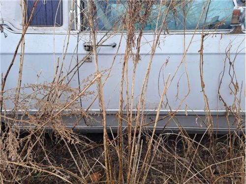 1977 Lincoln Continental, US $3,000.00, image 5