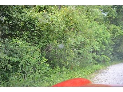 1996 Porsche 911 Carrera 4 Six Speed New Clutch, US $29,990.00, image 41