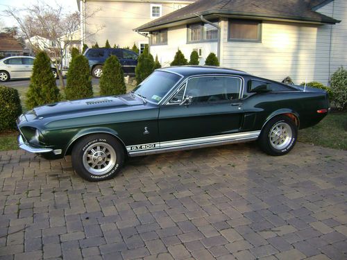 Shelby gt 500