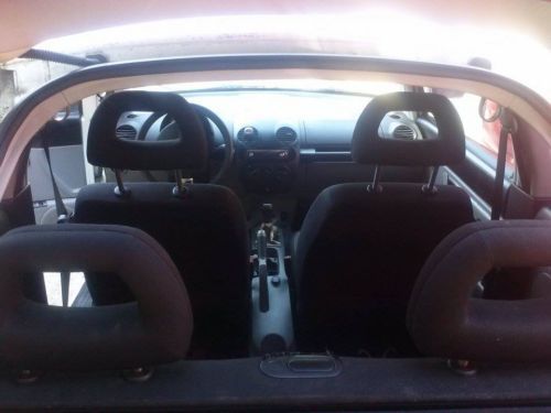 Nice beetle for sale