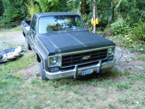 1976 chevy c20 running driving project