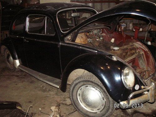 1959 vw volkswagen beetle