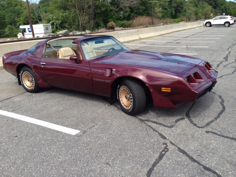 1981 pontiac firebird