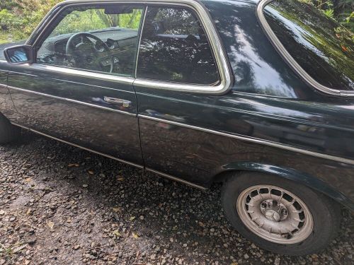 1981 mercedes-benz 300-series