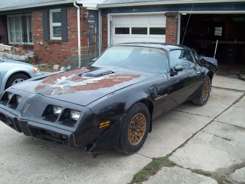 1980 pontiac trans am special edition y84 black on black- no reserve !!