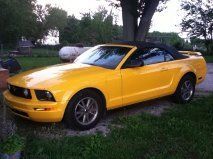2005 premium convertible mustang