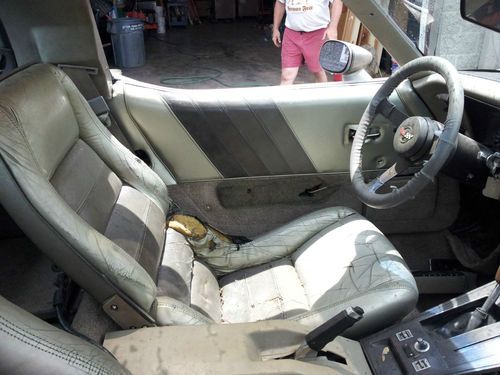 1982 Corvette Collectors Edition , Project car, image 11