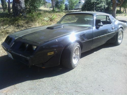 1980 pontiac firebird trans am coupe 2-door 5.0l