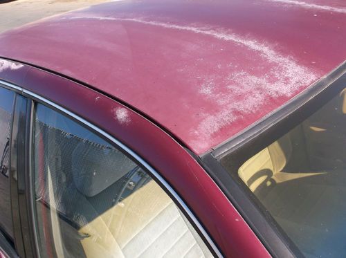 1994 Nissan Altima, NO RESERVE, image 12