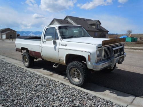 1973 chevy truck