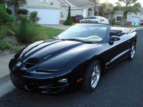 2002 Pontiac Firebird TRANS AM WS6 Triple Black Convertible, US $30,500.00, image 11