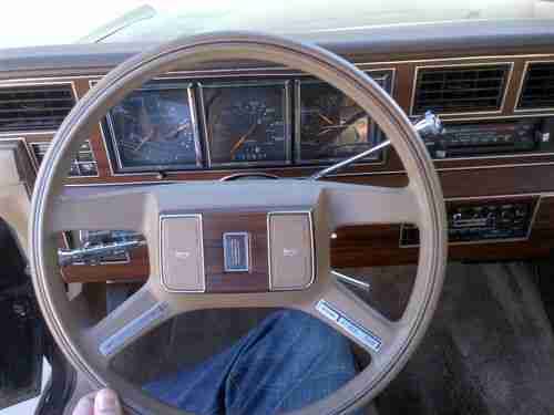 1988 Lincoln Town Car Base Sedan 4-Door 5.0L, image 11