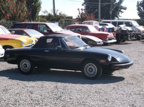 1981 alfa romeo spider veloce