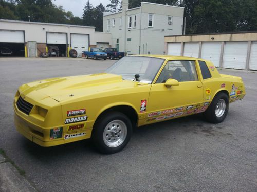 1981 monte carlo