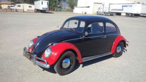 1963 vw beetle