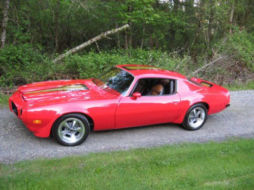 1974 pontiac firebird pro touring car, image 3