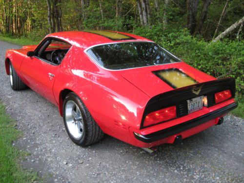 1974 pontiac firebird pro touring car, image 4