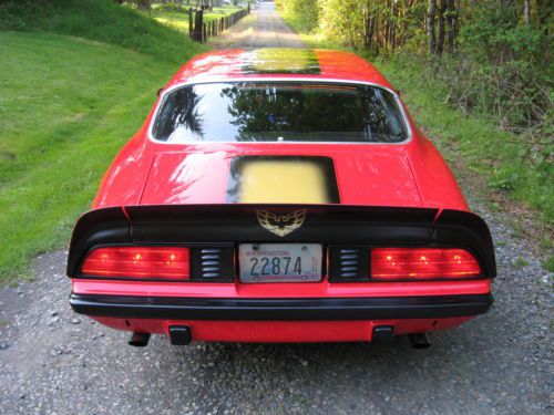 1974 pontiac firebird pro touring car, image 5
