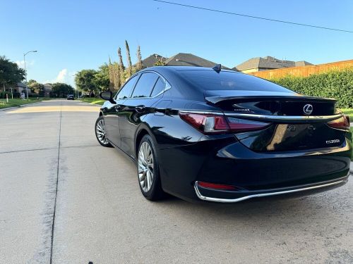 2019 Lexus ES300h 300H, US $30,000.00, image 22
