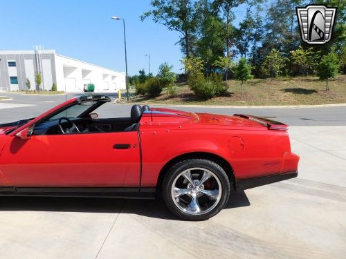 1984 Pontiac Firebird Trans Am Convertible, US $41,000.00, image 3
