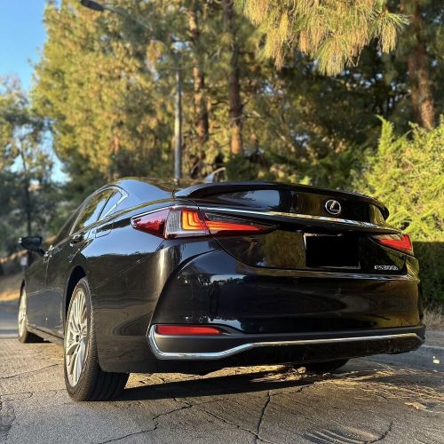 2021 Lexus ES300h 300H, US $30,000.00, image 5
